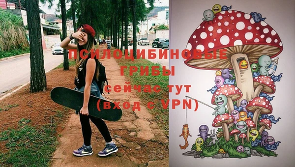 синтетический гашиш Беломорск
