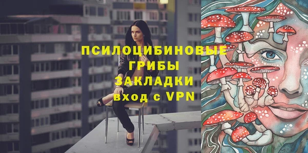 крисы Белокуриха