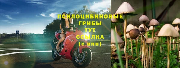 крисы Белокуриха