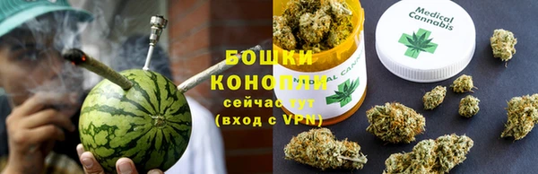 крисы Белокуриха