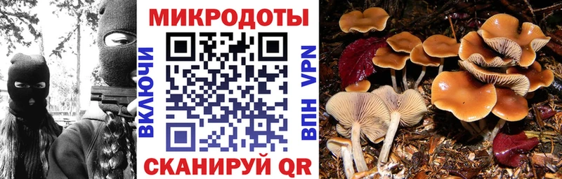 Псилоцибиновые грибы Cubensis  это Telegram  Острогожск 